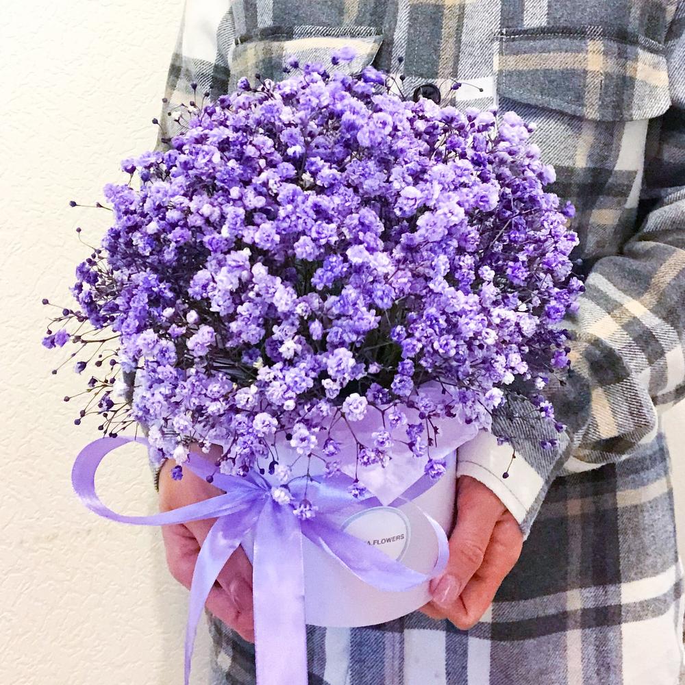 Гипсофила, Сиреневый туман