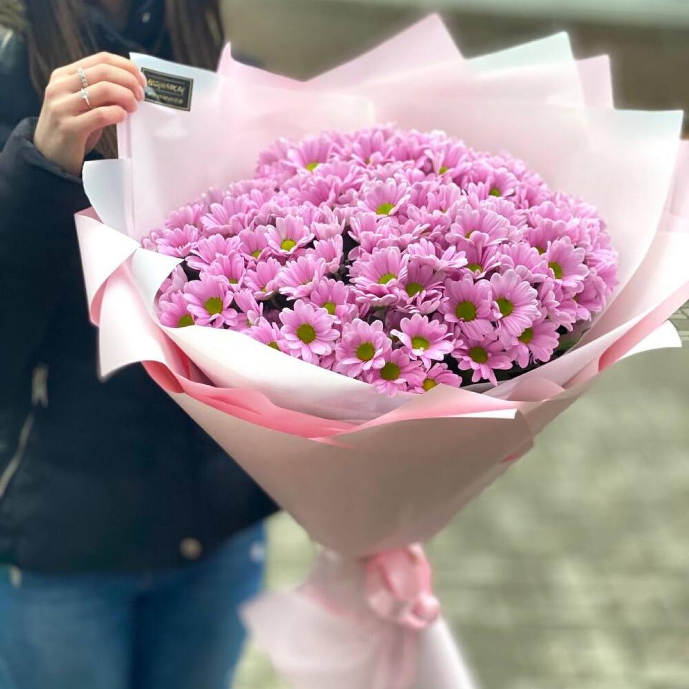 ≈ 101 розовая ромашка - 11 веток розовой ромашковой хризантемы