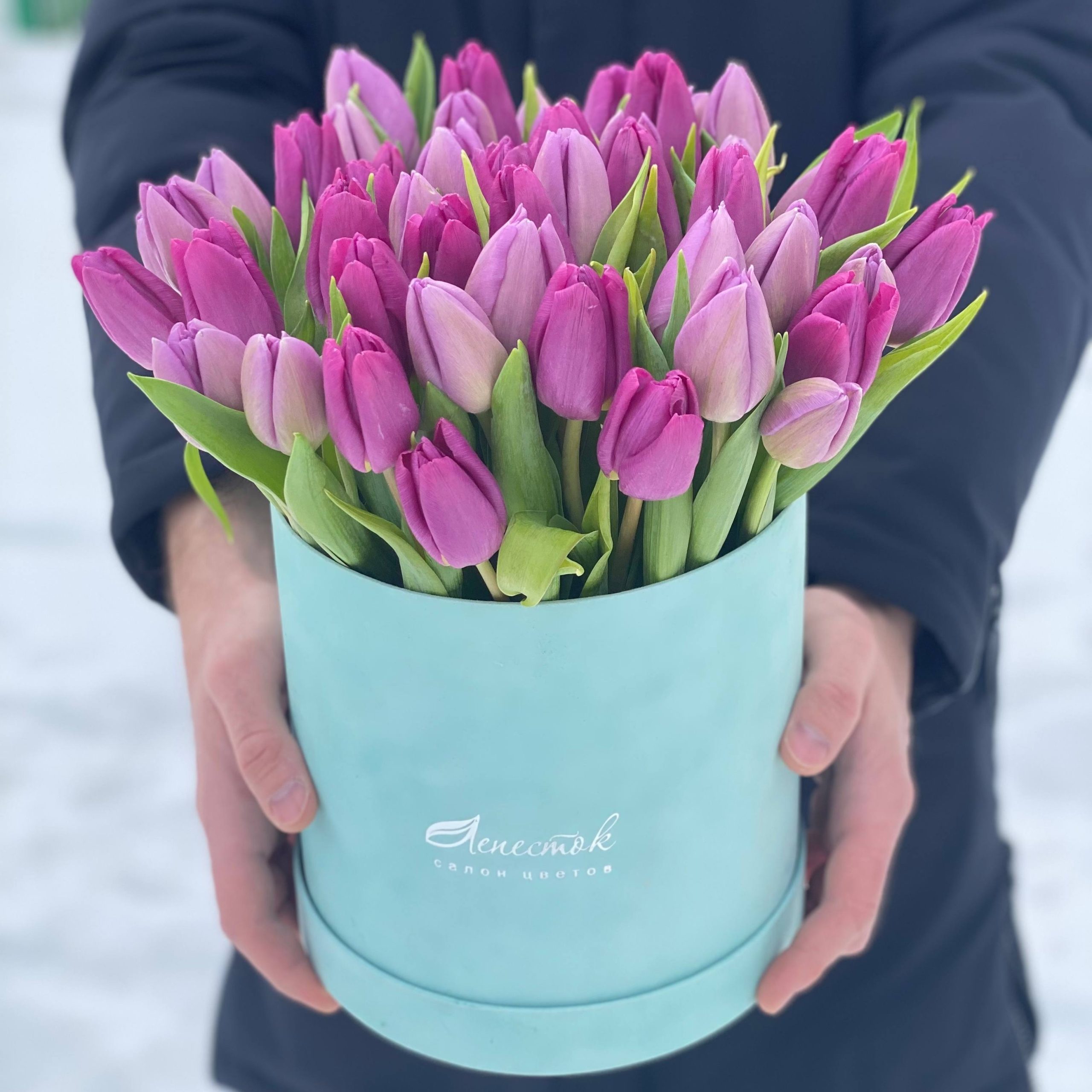 d49e306f-ae3a-4a63-bd29-df4040d0284e